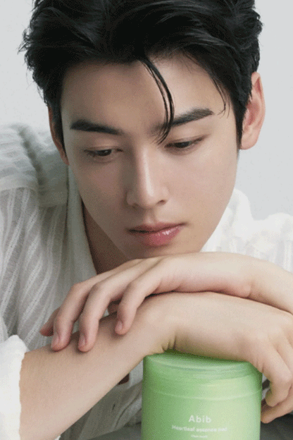 Abib Heartleaf Essence Pad Clear Touch