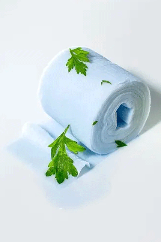 HANYUL Pure Artemisia Ssuk-Hyal Pad